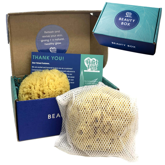 HartFelt Exfoliating Sea Sponge Beauty Box - 2 Grass Sea Sponges 4 inch