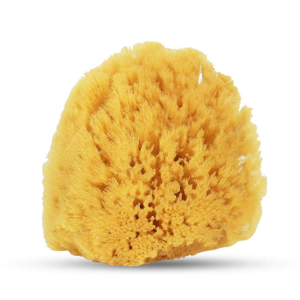 HartFelt Yellow Sea Sponge 4 Inch